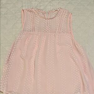 Mi Ami  Light Pink Sheer Blouse